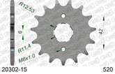 Pignone AFAM 20302-15 passo 520 E-TON VXL 250 ST VECTOR 2006  -2011